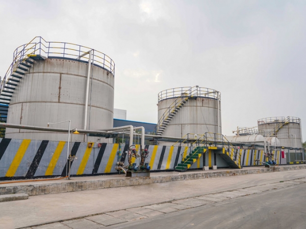 ���Ϲ���